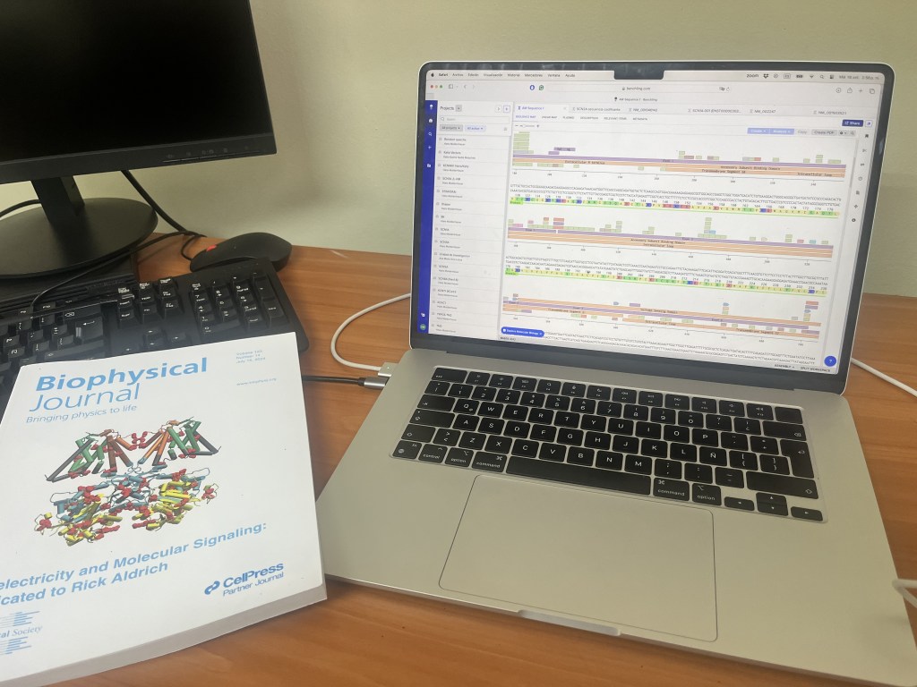 Investigación de canalopatías en Chile: Uniendo ciencia de vanguardia y medicina en favor de los&nbsp;pacientes