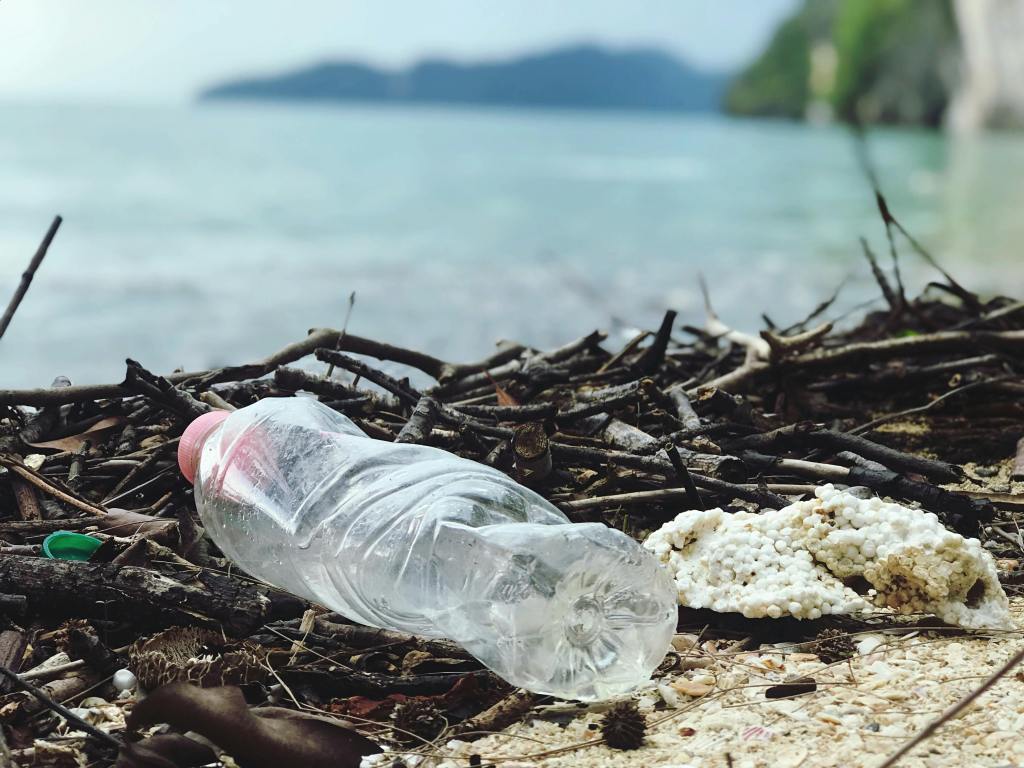 Estudio latinoamericano afirma que la mayoría de las botellas recolectadas en el mar tiene origen&nbsp;local